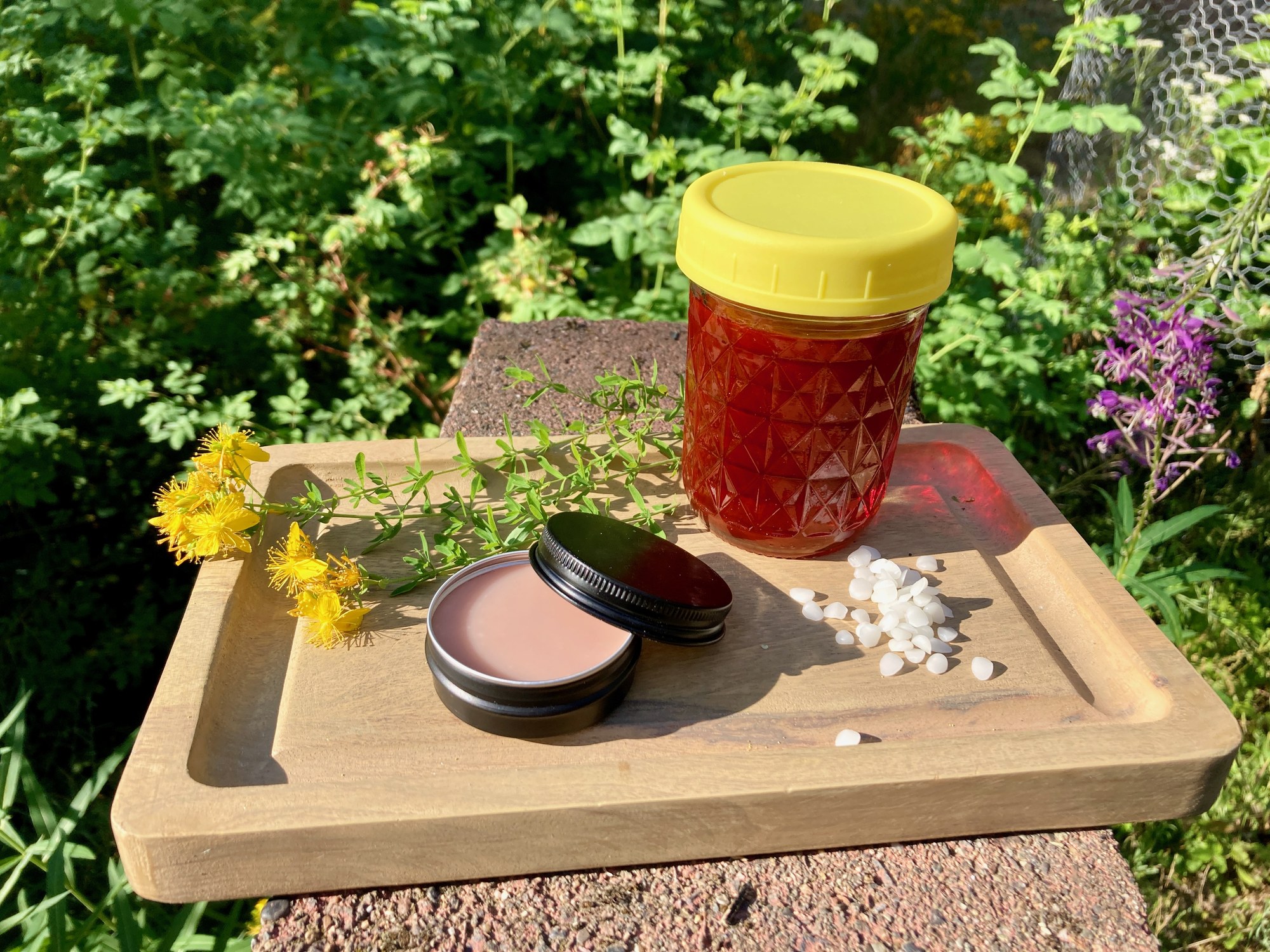A tin, red infused oil, beeswax, and a fresh St. John's Wort sprig arranged on a tray