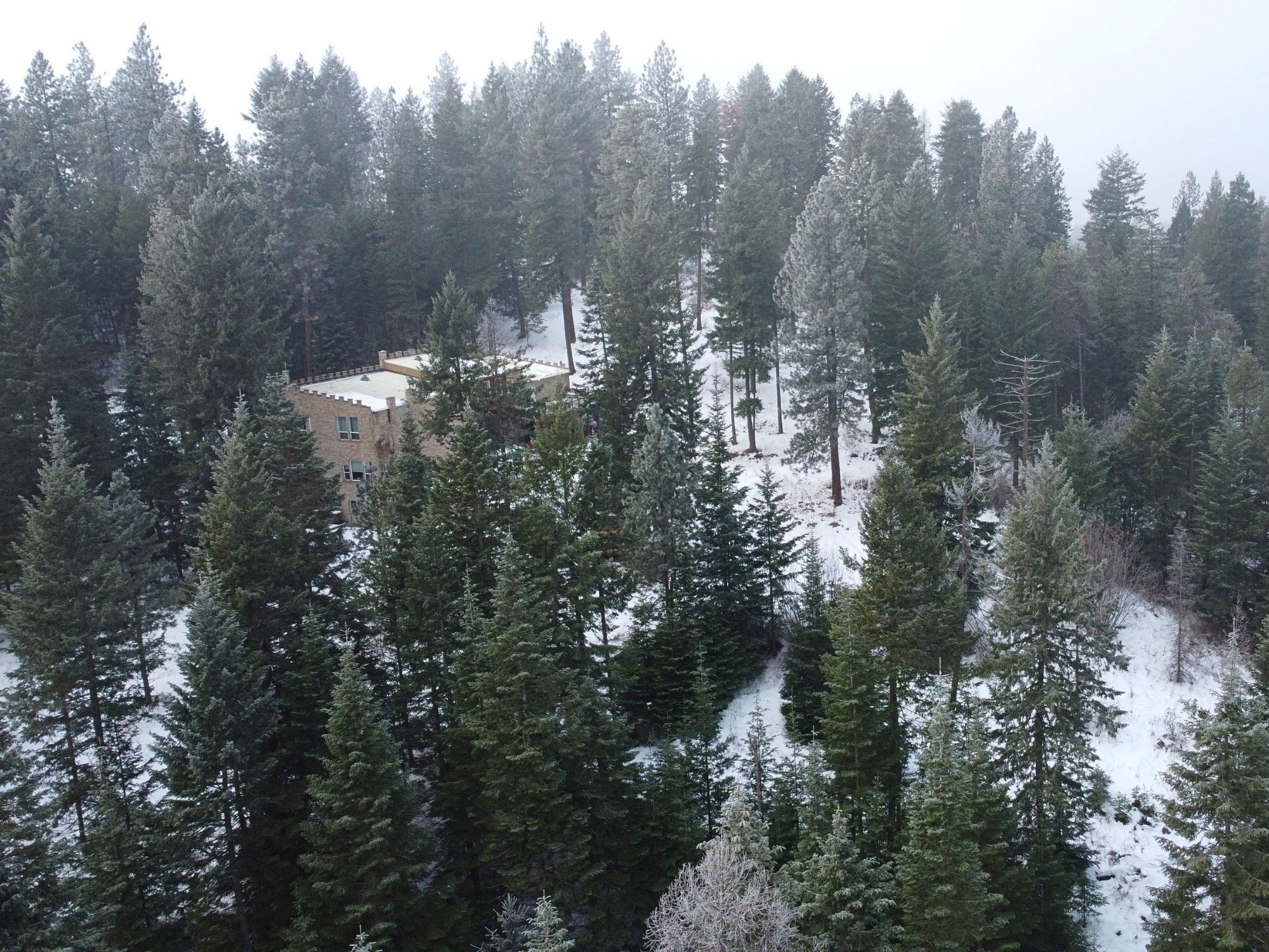 The Keep in winter, half-hidden among snow-dusted conifers